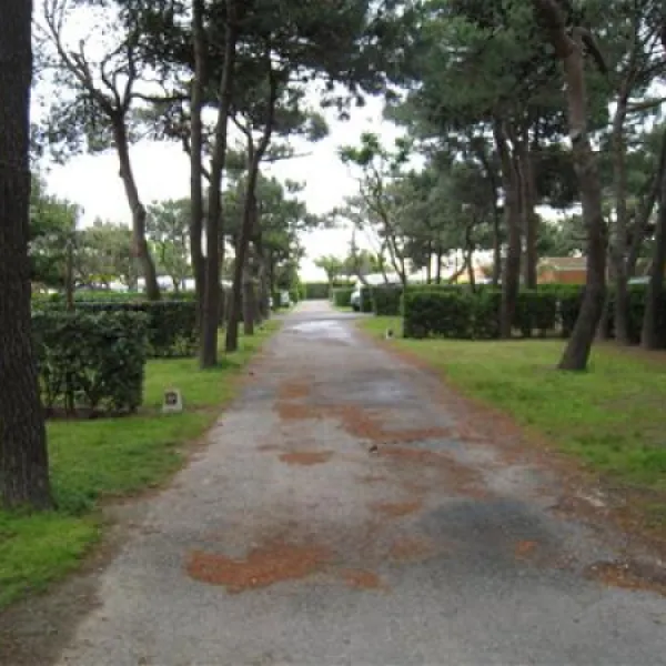 yelloh-village-le-brasilia-canet-en-roussillon-ulno9