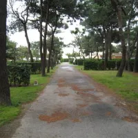 yelloh-village-le-brasilia-canet-en-roussillon-ulno9