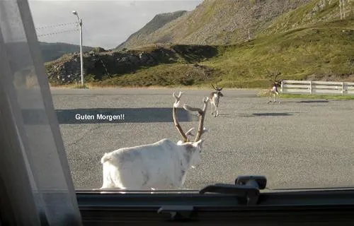 nordkapp-camping-skipsfjord-kbe7l