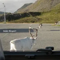 nordkapp-camping-skipsfjord-kbe7l