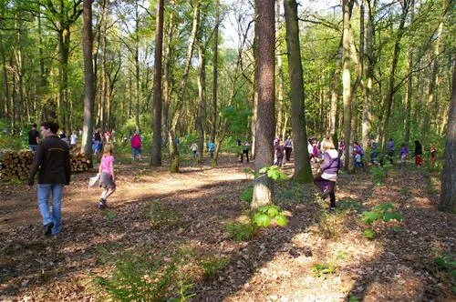 comfortcamping-haseufer-haselnne-06fwi