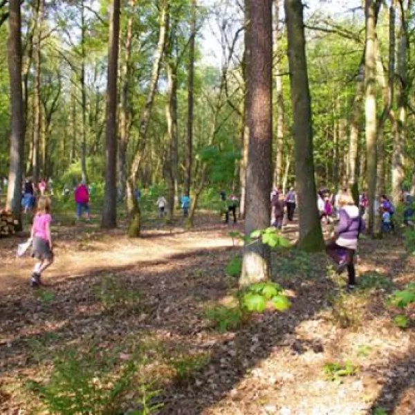 comfortcamping-haseufer-haselnne-06fwi
