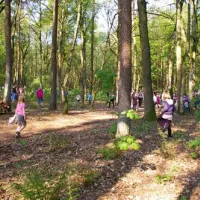 comfortcamping-haseufer-haselnne-06fwi