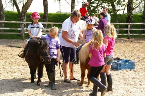 comfortcamping-haseufer-haselnne-dr9oy