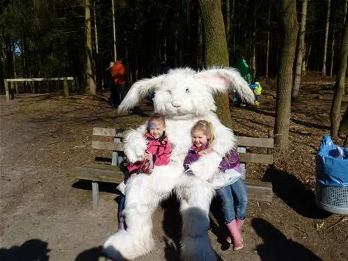 comfortcamping-haseufer-haselnne-ff0mn