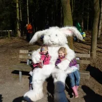 comfortcamping-haseufer-haselnne-ff0mn