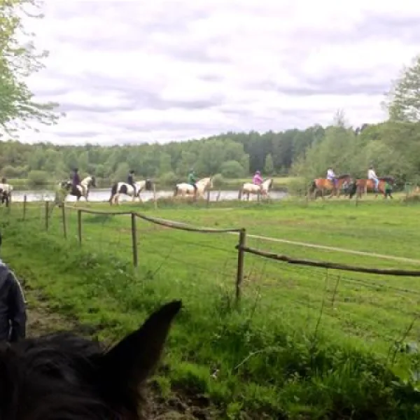 comfortcamping-haseufer-haselnne-hj1ei