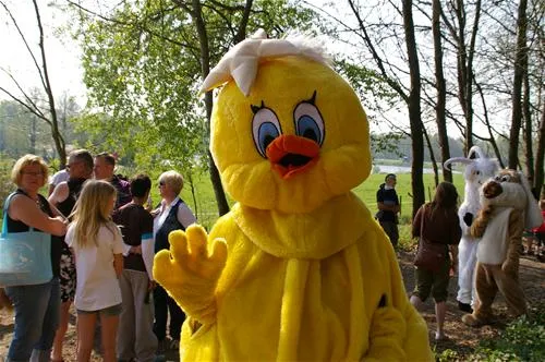 comfortcamping-haseufer-haselnne-oujvq