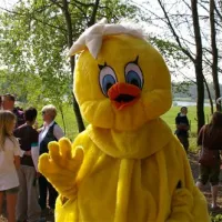 comfortcamping-haseufer-haselnne-oujvq