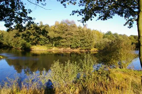 comfortcamping-haseufer-haselnne-uqane