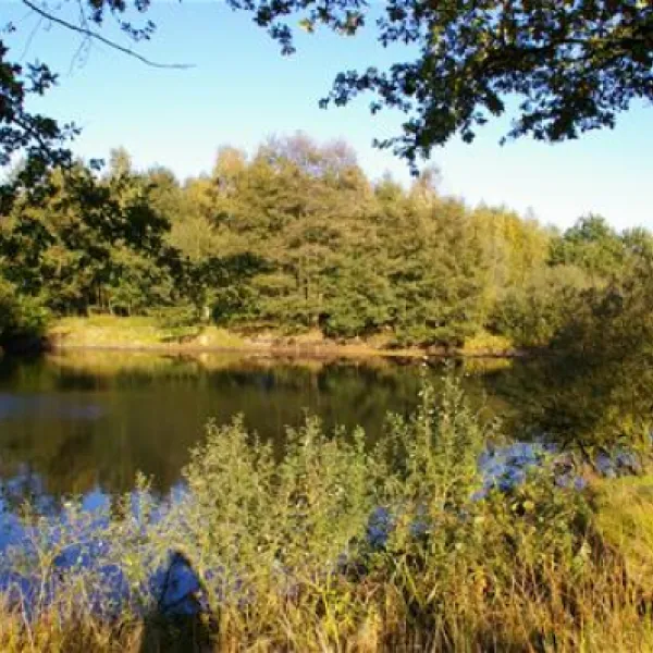 comfortcamping-haseufer-haselnne-uqane