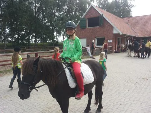 comfortcamping-haseufer-haselnne-wmkon