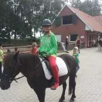 comfortcamping-haseufer-haselnne-wmkon