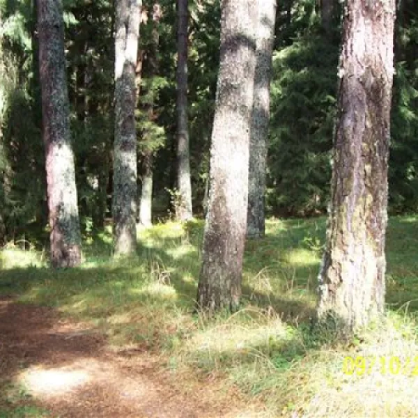 camping-gorski-kat-selo-govedarci-2fyjh