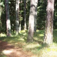 camping-gorski-kat-selo-govedarci-2fyjh