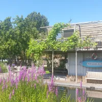 camping-welgelegen-workum-5vbbm