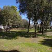 camping-le-bois-verdon-st-jean-de-monts-ahufl