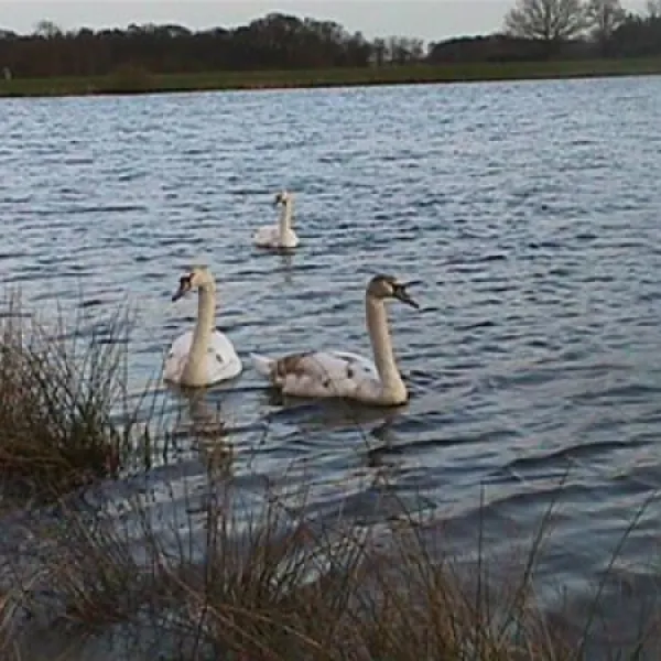 campingplatz-hartensbergsee-goldenstedt-te1bg