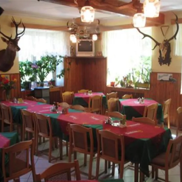 camping-na-spici-kyselka-zivld