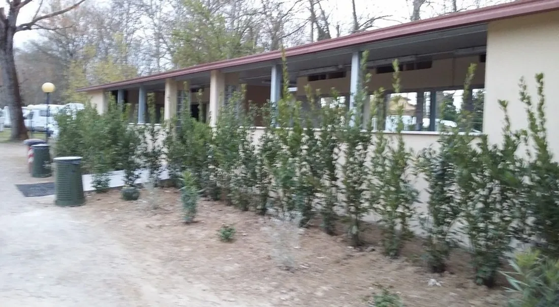campeggio-listro-castiglione-del-lago-bkhhi