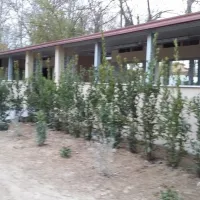 campeggio-listro-castiglione-del-lago-bkhhi
