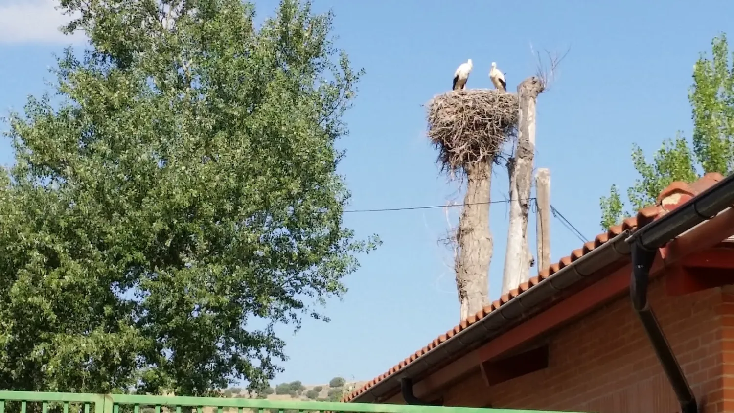 camping-fuente-de-la-teja-soria-vdiz3