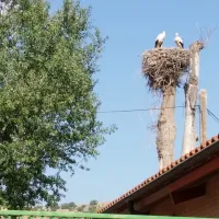 Camping Fuente de la Teja