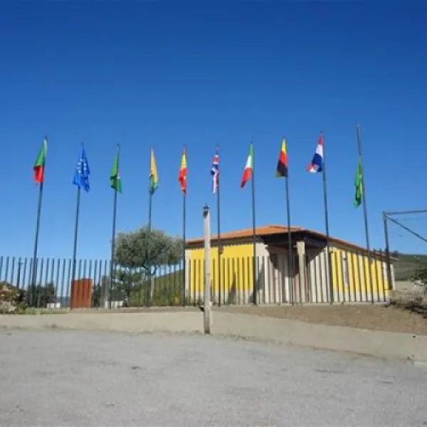 camping-rural-de-aboim-da-nbrega-aboim-da-nbrega-fdzjt