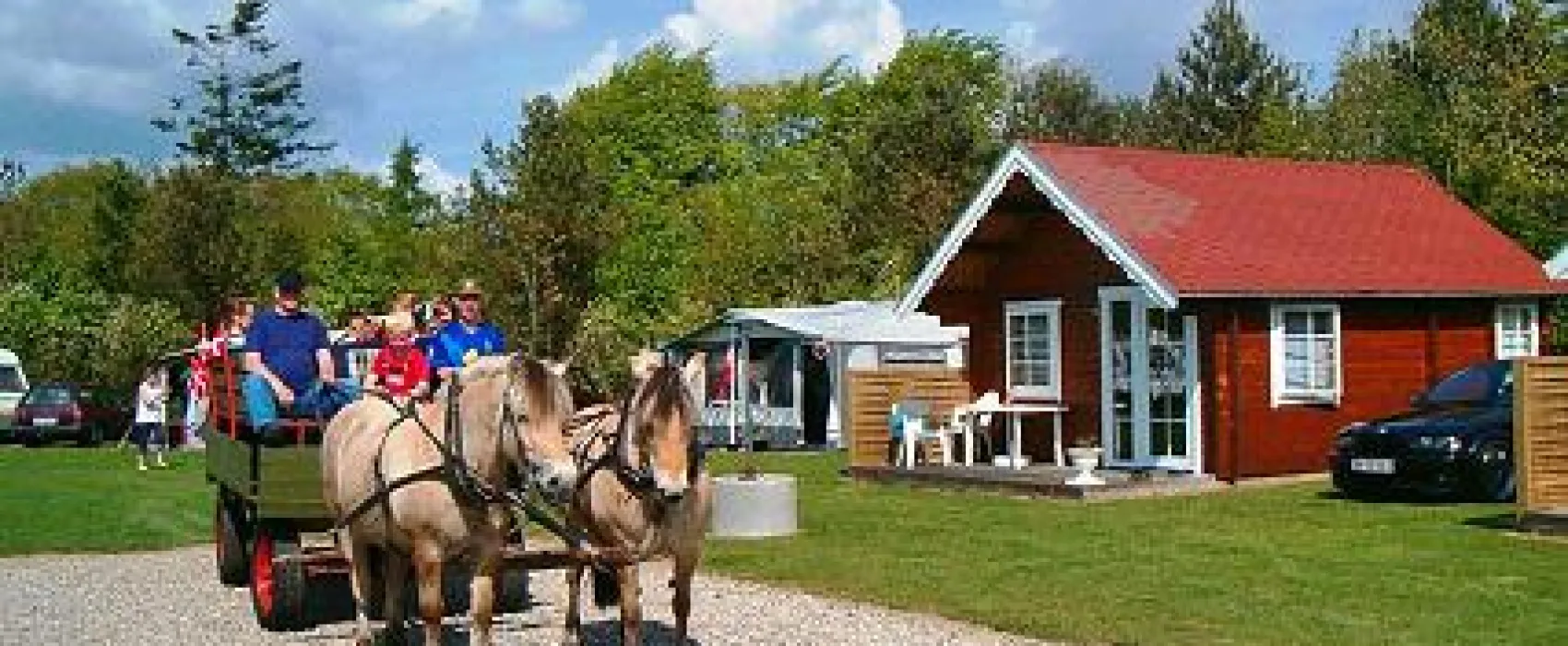 Holme Å Camping