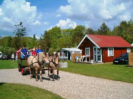 holme-camping-hovborg-0hgqs