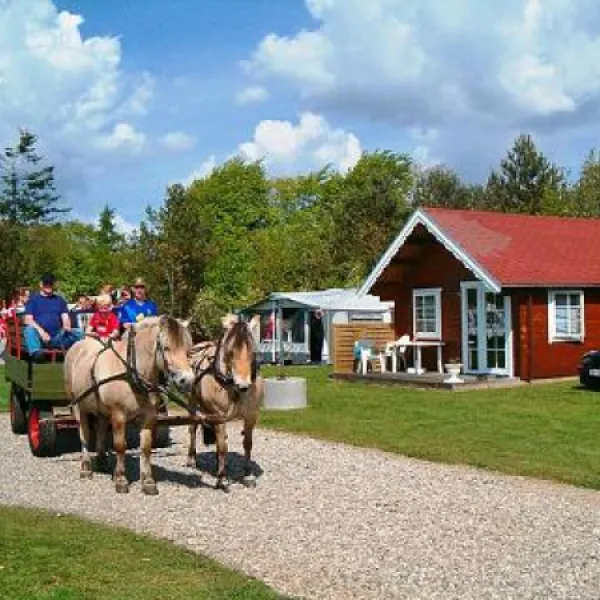 holme-camping-hovborg-0hgqs