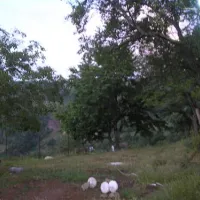 camping-biofarm-reci-zallrec-59mz9