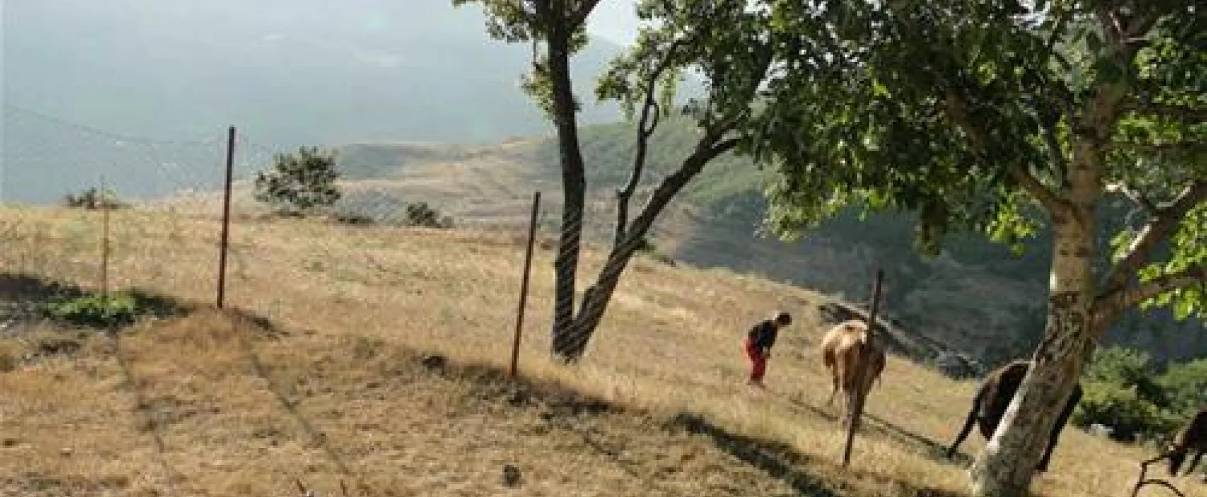 Camping Biofarm Reci