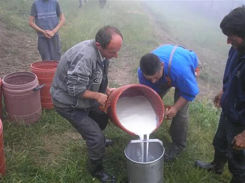 camping-biofarm-reci-zallrec-frabk
