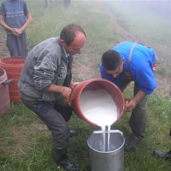 camping-biofarm-reci-zallrec-frabk