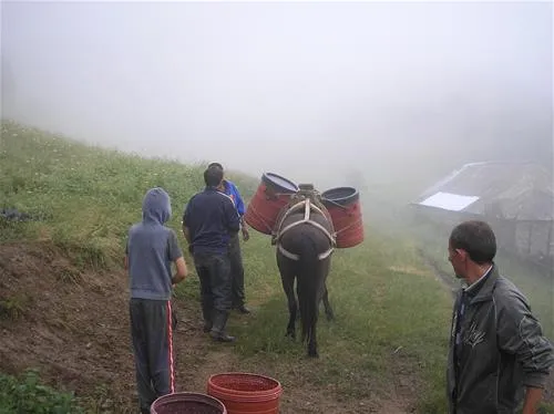camping-biofarm-reci-zallrec-phgaa