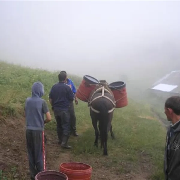 camping-biofarm-reci-zallrec-phgaa