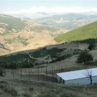 Camping Biofarm Reci