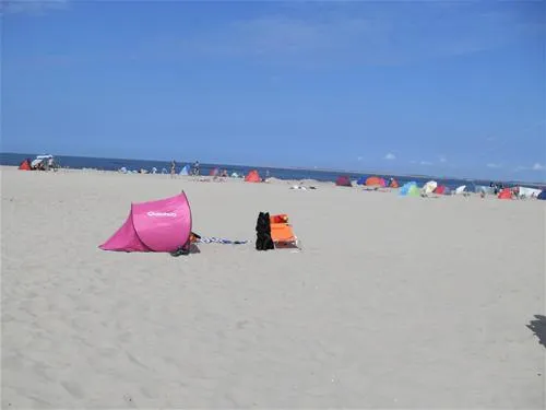 camping-duin-en-strand-scharendijke-opj46