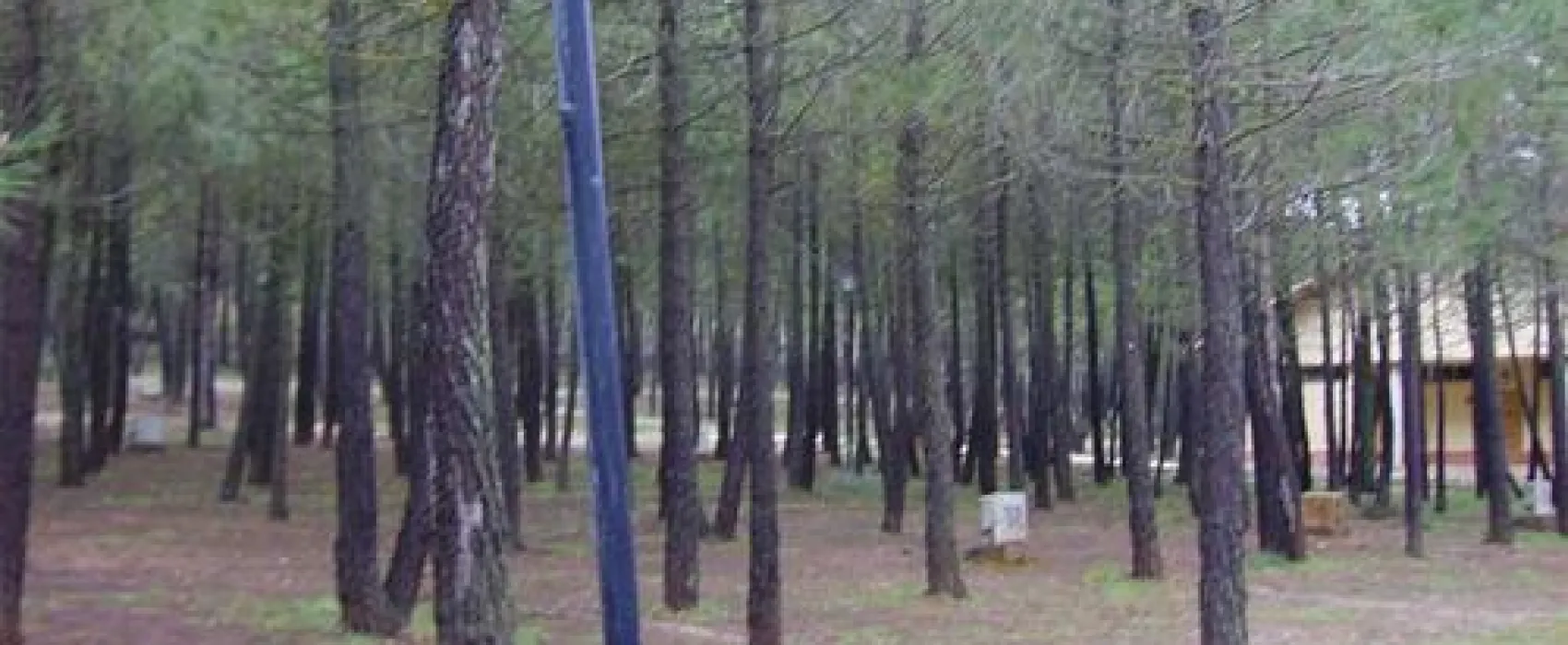 Camping Riopar