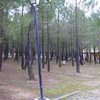 camping-riopar-ripar-0etz2