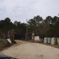 Camping Riopar