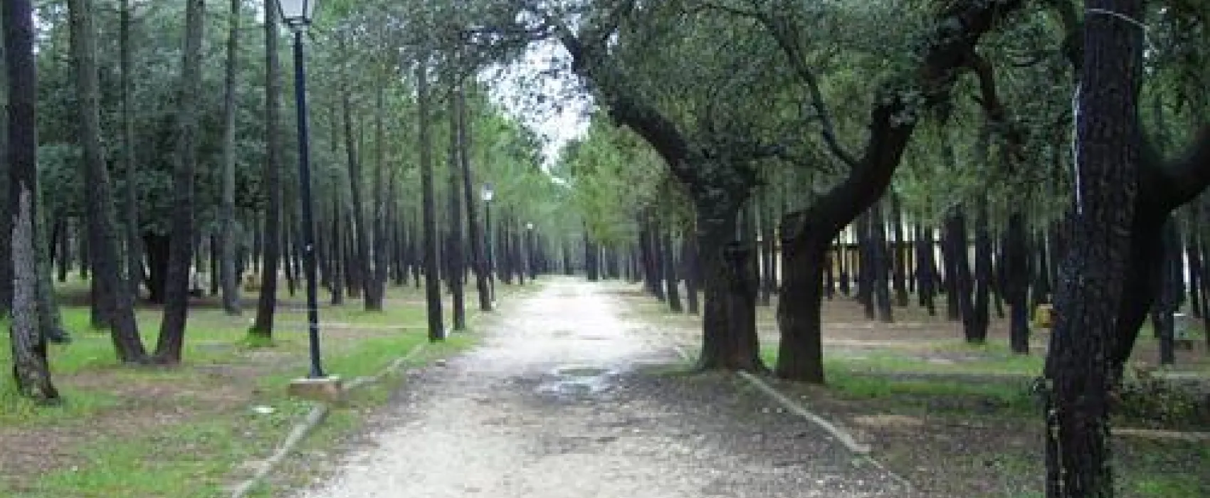 Camping Riopar
