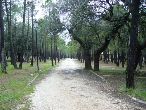 camping-riopar-ripar-wszgz
