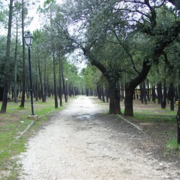 camping-riopar-ripar-wszgz