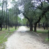 camping-riopar-ripar-wszgz