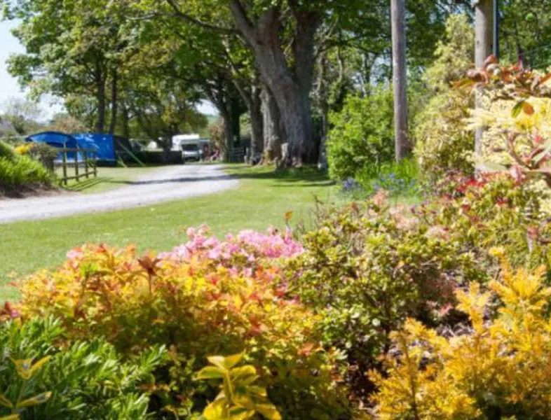 llys-derwen-caravan-campsite-caernarfon-gwynedd-mujz3