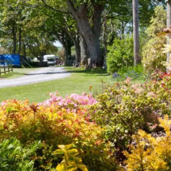 llys-derwen-caravan-campsite-caernarfon-gwynedd-mujz3