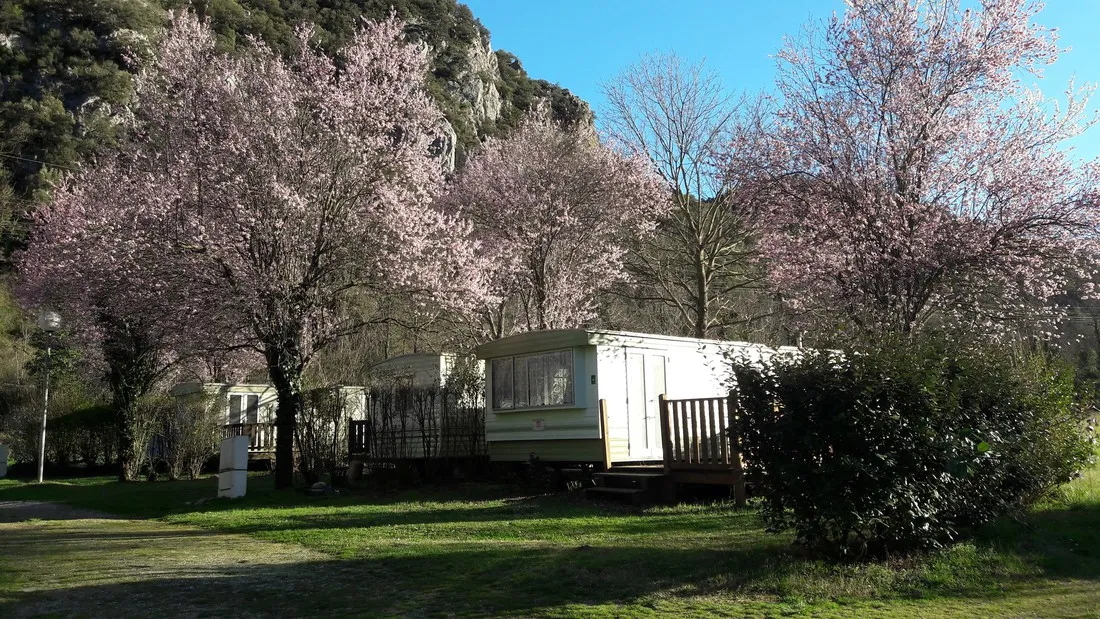 camping-mas-de-lastourg-villefranchedeconflent-umtfk