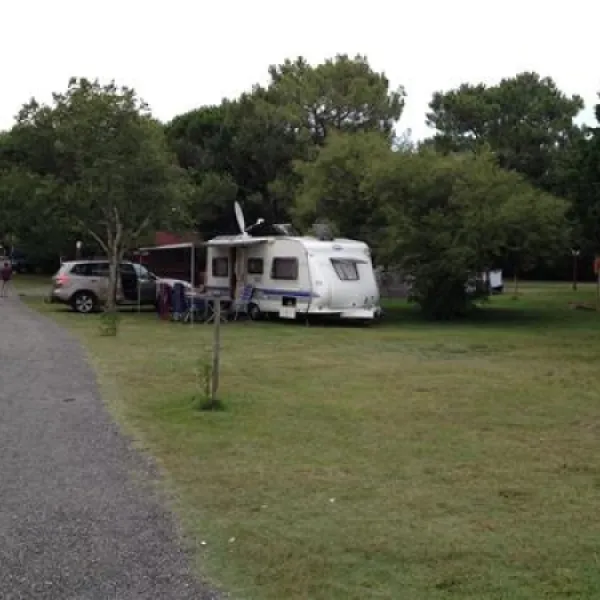 camping-coq-hardi-cassy-lanton-52voh
